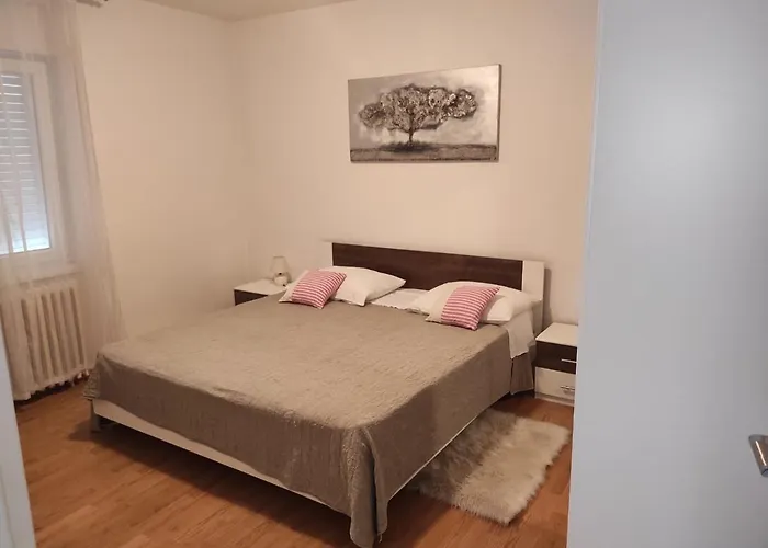 Dominik * زادار