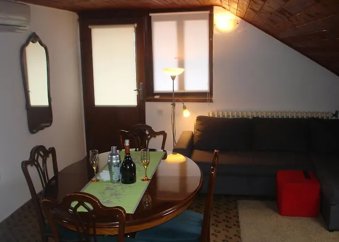 Dominik * زادار