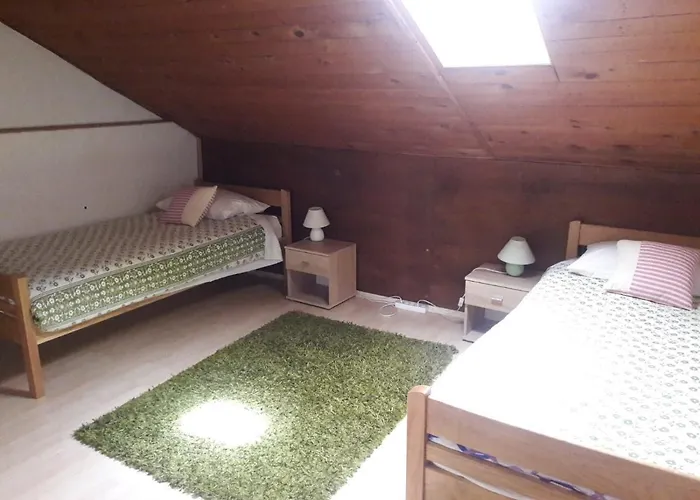 Dominik * زادار